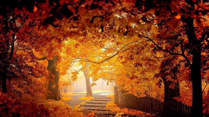 游戏是否正在毁掉中国部分的年轻人？